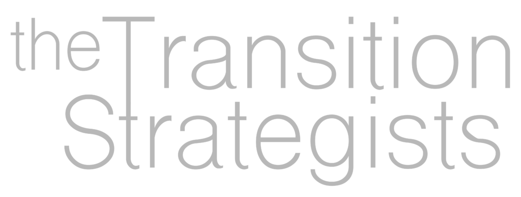 Business Succession Planning - The Transition Strategists logo