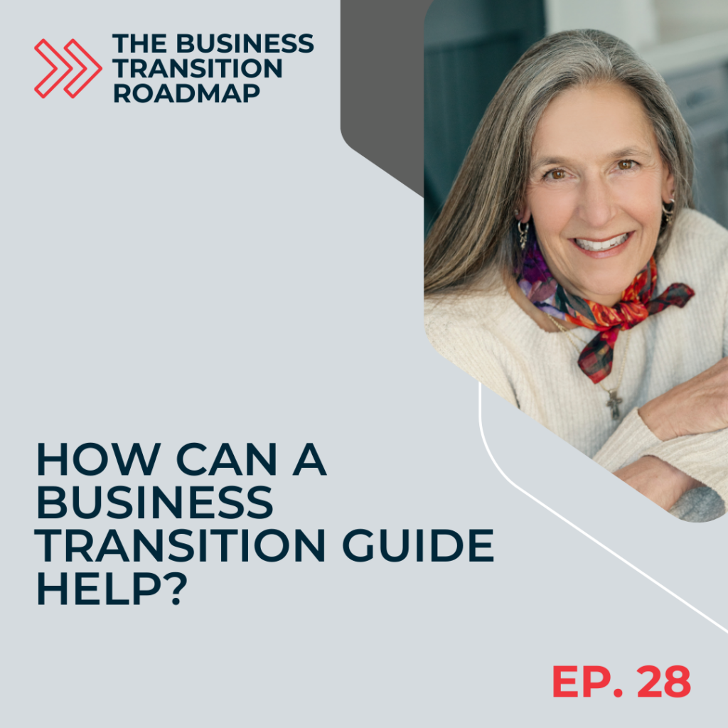 What Is It Like To Be A Business Transition Guide?