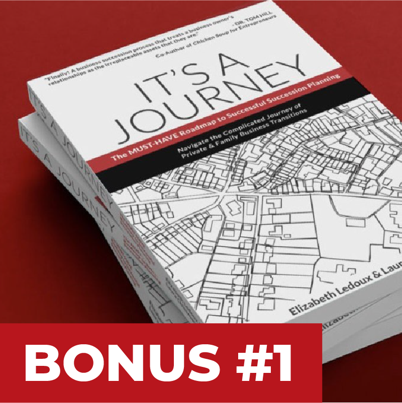 The Book, It's A Journey on a red background. On the bottom left on a red background with white text, there is text that says "Bonus #1" as the e-book is a bonus in the Big 6 Program hosted by the Transition Strategists.